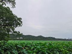 -浙江省博物馆(孤山馆区)