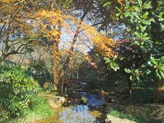 -中国茶叶博物馆(双峰馆区)