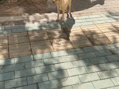 -老牌柳州螺蛳粉(同班同学美食城店)