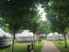 -九十九顶毡房(阜石路店)