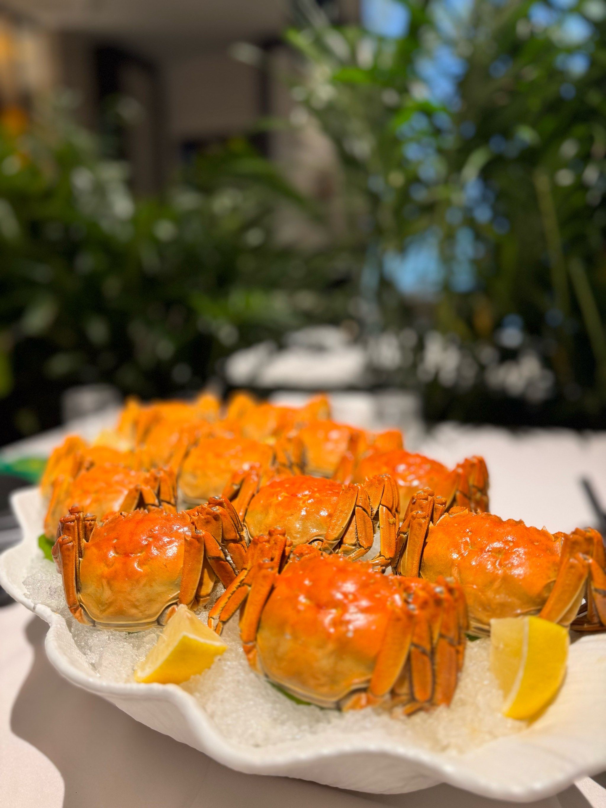 打卡喜福～西美五洲酒店🏨2楼喜福料理