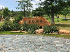-东莞植物园