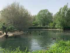 -长白岛森林公园