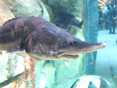 -波塞冬旅游度假区