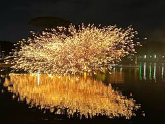 -海上田园
