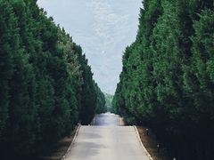 -秦始皇帝陵博物院-丽山园