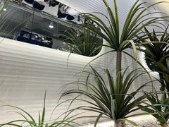 -兰湘子·湘菜小炒(崂山丽达店)