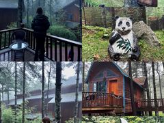 -洛阳白云山景区