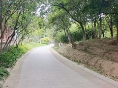 -济南国际园博园