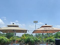 -蘇河湾·新鲁菜·泰山宴(泰山店)