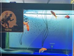 -鳗鱼家·深夜食堂(军博店)