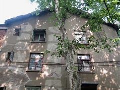 -武汉大学-樱园