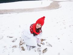 -同济大学(嘉定校区)