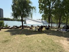 -南翔镇银翔湖公园