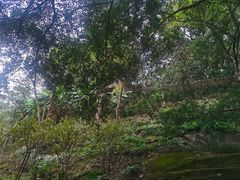 -乌山风景区