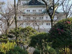 -名古屋城