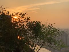 -茉莉花空中花园餐厅(义乌店)