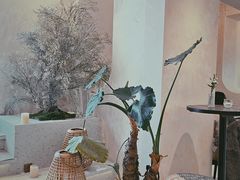 -HUATA 'Holiday Plan 花榻