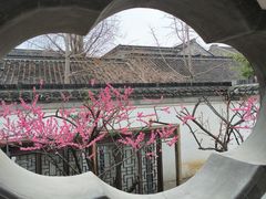 -芥子园