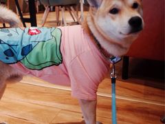 -ZING COFFEE 镜咖啡