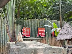 -深圳野生动物园