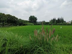 -嘉北郊野公园