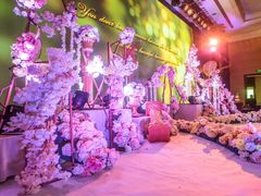 -上海圣淘沙万怡酒店