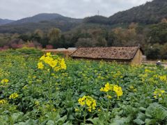 -广州市石门国家森林公园