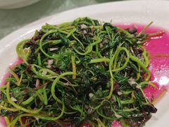 -阿巧一号私房菜(止园路店)