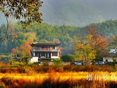 -塔川景区