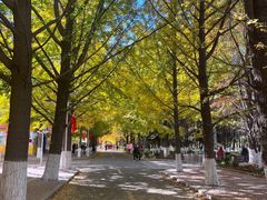 -辽东学院(南校区)