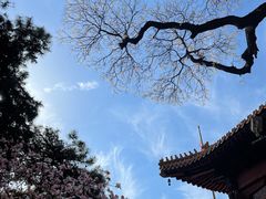 -八大处公园