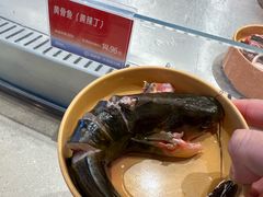 -海底捞大排档火锅(打浦路店)