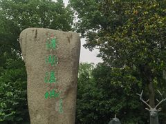 -溱湖国家湿地公园