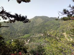 -木兰云雾山