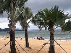 -大梅沙海滨公园