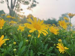 -仙海旅游度假区