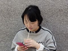 -代数学家algebraist(苏州中心店)