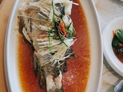 -青岛海景花园大酒店·白果树餐厅青岛菜