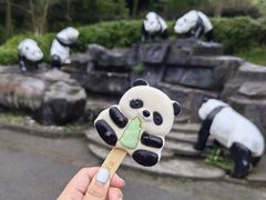 -都江堰中华大熊猫苑