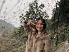 -南山植物园