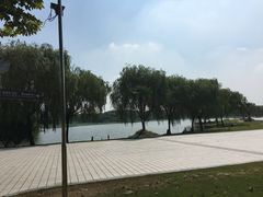 -东华大学(松江校区)