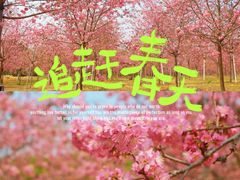 -天适樱花悠乐园