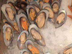 -视界美食自助餐厅·石家庄希尔顿酒店