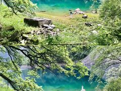 -叠溪松坪沟景区