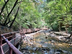 -九龙潭景区
