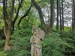 -上海醉白池公园