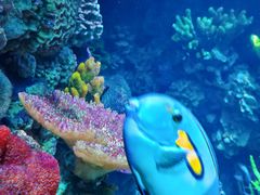 -海合安青岛极地海洋公园