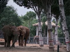 -石家庄市动物园