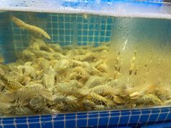 -老东镇啤酒屋海鲜加工·蒸汽海鲜·海鲜烧烤(台东店)